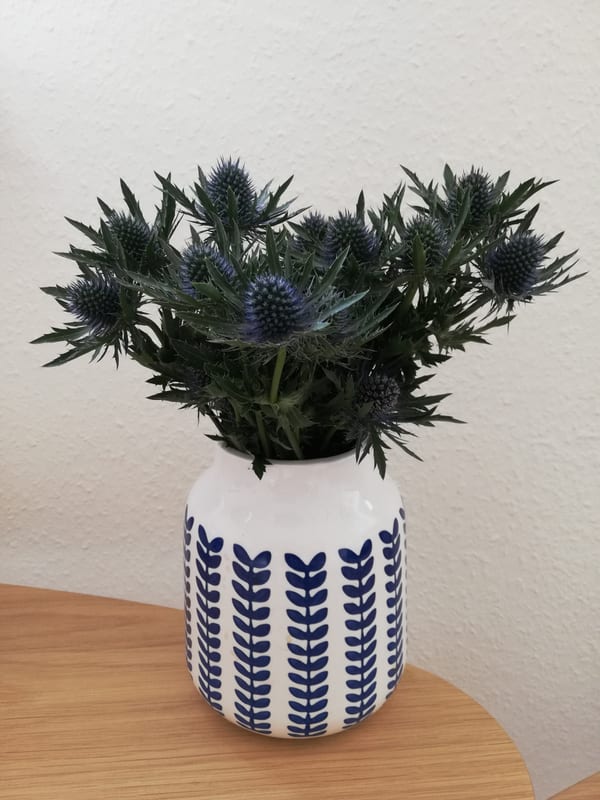 Praxis für Psychotherapie Stephan Pitten – Einladendes Ambiente mit Blumen